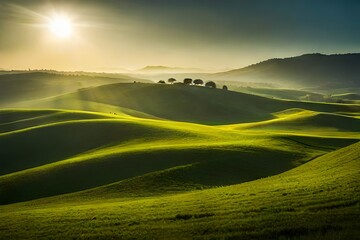 sunrise over the field