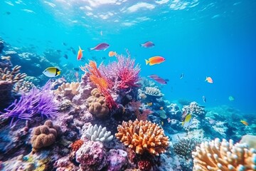 Fototapeta na wymiar colorful fish swimming around beautiful corals under the sea