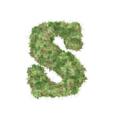 Symbol from autumn green leaves. letter s