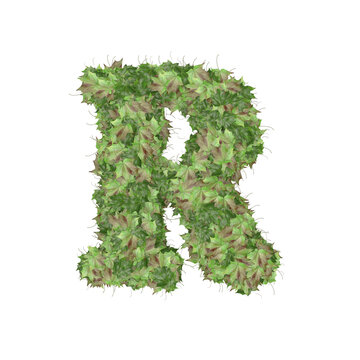 Symbol from autumn green leaves. letter r