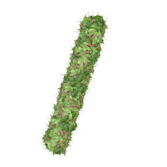 Symbol from autumn green leaves