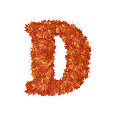 Symbol from autumn redheaded leaves. letter d