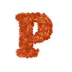 Symbol from autumn redheaded leaves. letter p