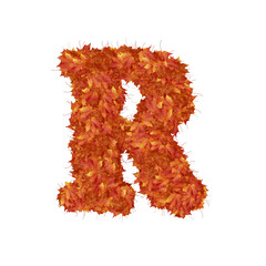Symbol from autumn redheaded leaves. letter r