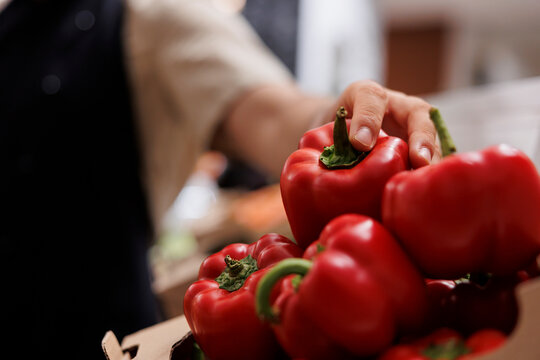 Trader filling up crates on zero waste shop shelves with homegrown red bell peppers from his own garden. Storekeeper restocking local neighborhood store with eco friendly food items, close up