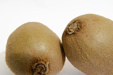 kiwi fruit on white background