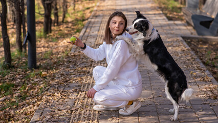 Black and white border collie dog put its paws on its owner's back during a walk in the autumn park. 