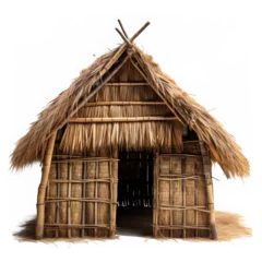 Foto op Canvas tribal thatched house png ,traditional thatched hut house isolated on transparent background ,generative ai © Leo