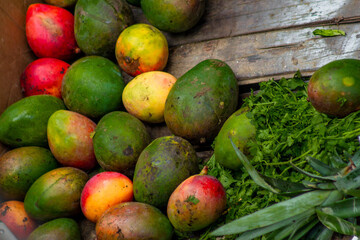 Display of fruits and vegetables in a traditional Colombian market square