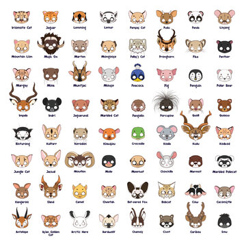 Big collection of animal masks for costume party. Kids Halloween party animal masks. School masquerade masks.