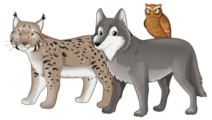 Cartoon wild animal wolf or dog and wild cat lynx isolated illustration for children