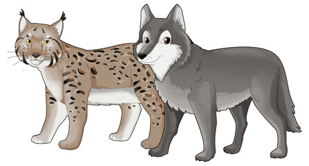 Cartoon wild animal wolf or dog and wild cat lynx isolated illustration for children