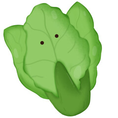 Illustration of green cabbage.