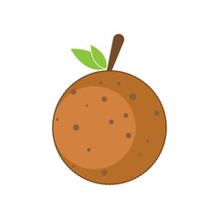 longan fruit icon