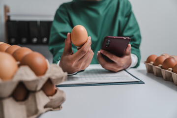 Skilled food factory technologist meticulously examines chicken eggs on production line, ensuring highest quality standards are maintained for food industry. Quality Control Expert Inspecting