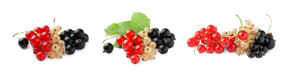 Set of red, white and black currants isolated on white