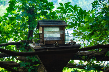 Naklejka premium Birds feast on food provided in a bird feeder
