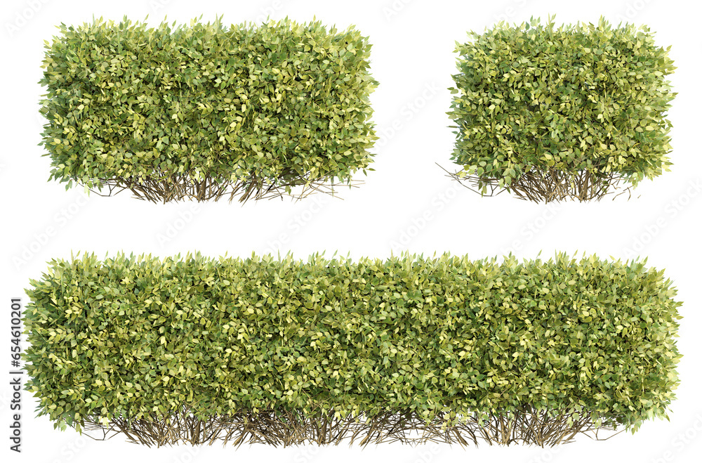 Poster bush 3d rendering with transparent background, for illustration, digital composition, architecture v