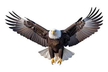 Bald eagle flying on skies on transparent background, Generative AI - obrazy, fototapety, plakaty