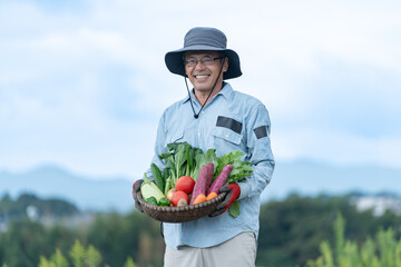 野菜を持つシニア日本人男性