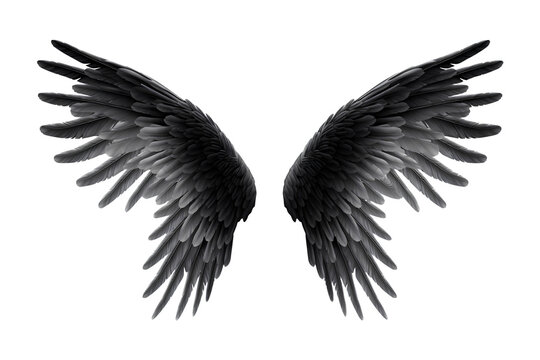 Black wings isolated on a transparent background, Generative AI