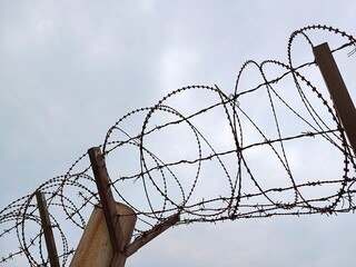 barbed wire fence