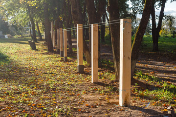 Wooden poles dug into the ground in a row, installing a wooden fence