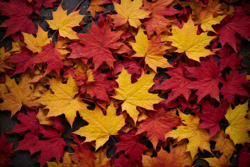 Naklejka na ściany i meble Red yellow autumn leaves background
