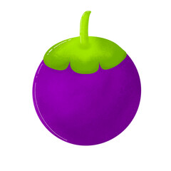 purple manggosten isolated on white