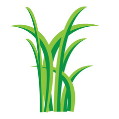  Icon of grass. flat illustration on white background..eps