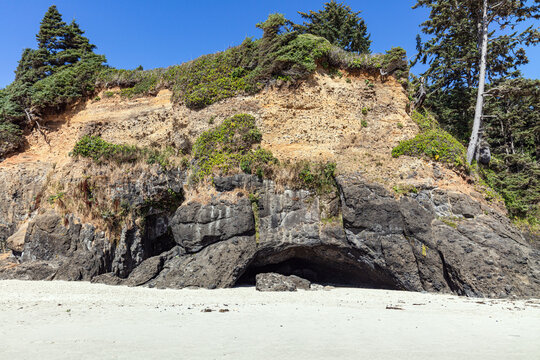 Rock cave in the hillside on the sand beach of central Oregon Pacific coast with trees and blue sky.