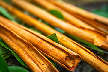 Cinnamon sticks on a background of cinnamon leaves close-up photo Ceylon cinnamon.