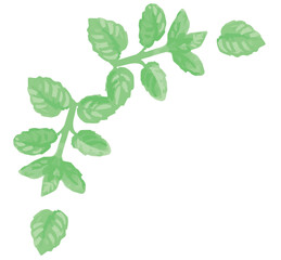 アロマに使われるハーブのイラスト・コーナー。フレームが作れます。ベクター素材 © 夏妃 吉野