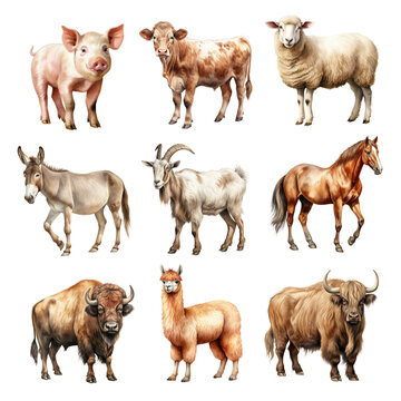 Watercolor Farm Animal Elements Set. Set Of Clipart Livestock Animal Elements. Cow, Pig, Sheep, Donkey, Goat, Horse, Bison, Alpaca, Yak.