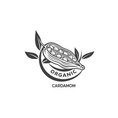 illustration of cardamom powder, vector art.