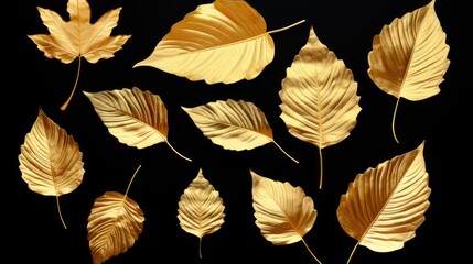 Golden tree leaves on black background. Great for wall art and home decor. Beautiful transparent...