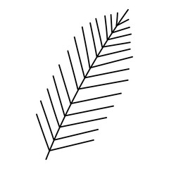 christmas holiday tree tree branch plant black