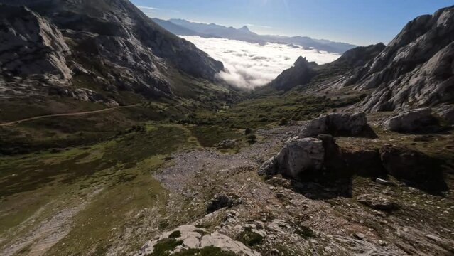 Aerial shot of FPV drone descending quickly down the roe deer of the mountains following some deer running at full speed descending the mountain in the Pyrenees