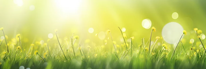 Tuinposter Panoramic fresh spring grass background © Farnaces
