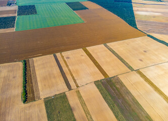Plots of agricultural land with different crops seen from above