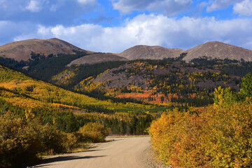 changing aspen leaves and mountains on a sunny day in fall on boreas pass scenic road,  in the colorado rockies