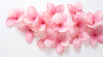 A bunch of pink petals isolated on white background
