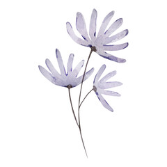 Light purple watercolor flowers