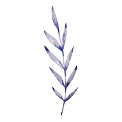 Dark purple watercolor branch with leaves