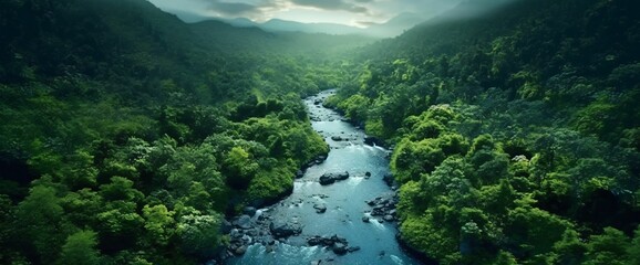 Aerial View of Green Forest and River