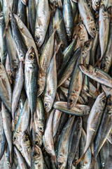 Fototapeta premium Fresh fish and seafood on traditional fish market in Funchal at Madeira island, Portugal