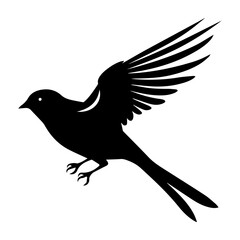 Bird Silhouette Illustration 
