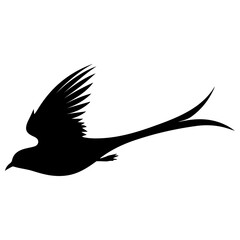 Bird Silhouette Illustration 