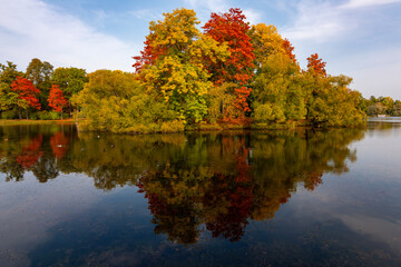 Autumn foliage in Catherine park, Pushkin (Tsarskoe Selo), Saint Petersburg, Russia