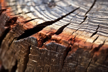old wood texture closeup 